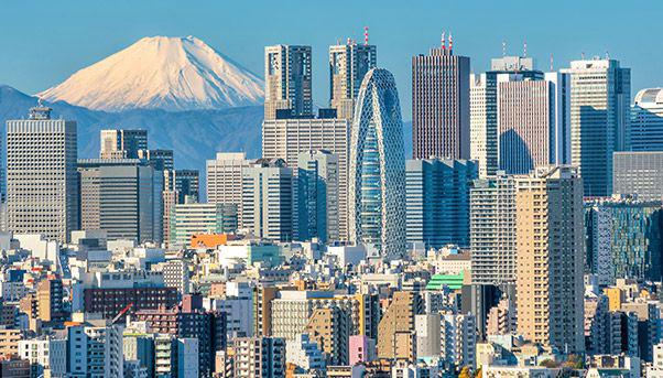 Buildings made of wood: Tokyo and Mount Fuji