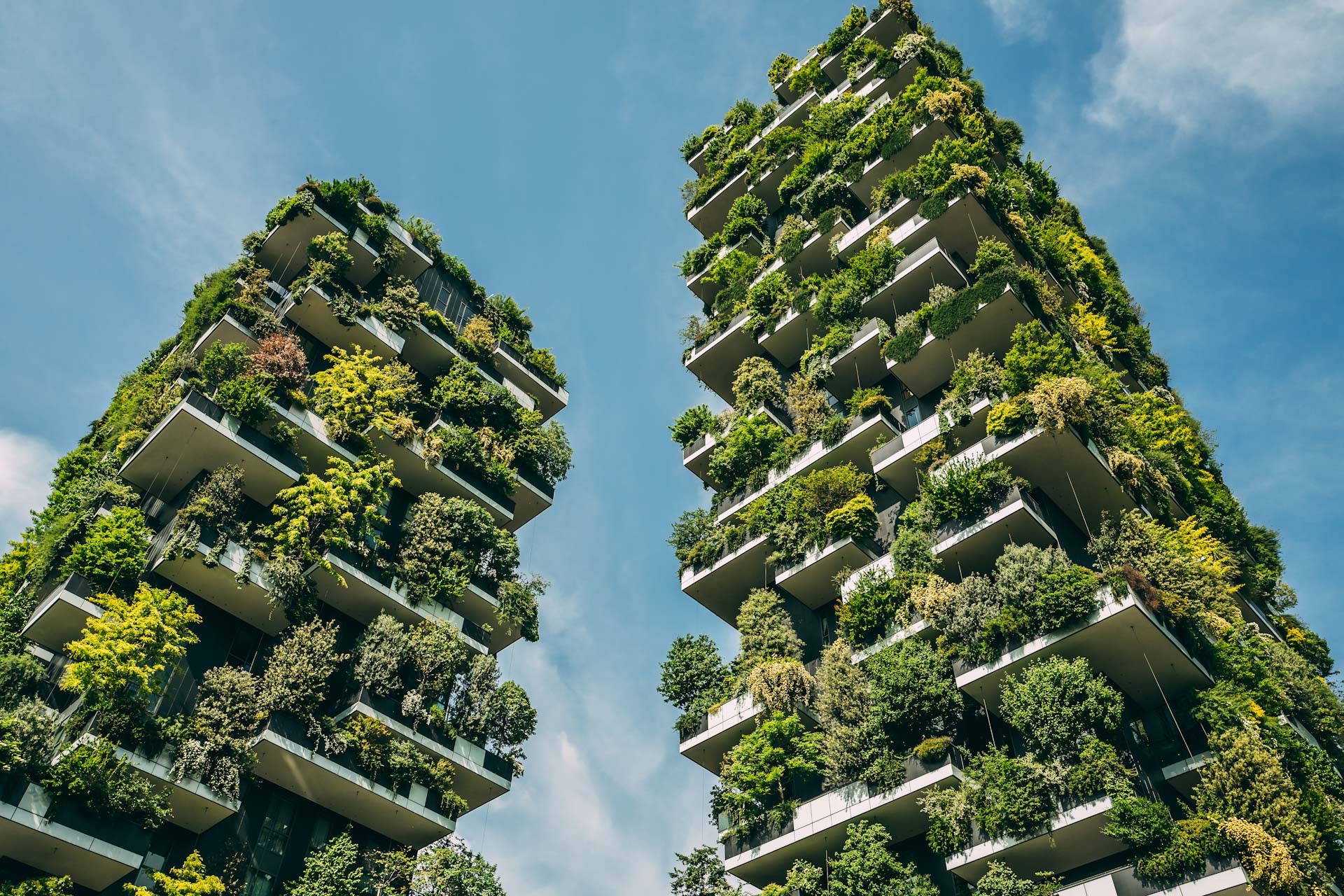 Utrechts New Vertical Forest Will Be Home To 10000 Plants And Trees