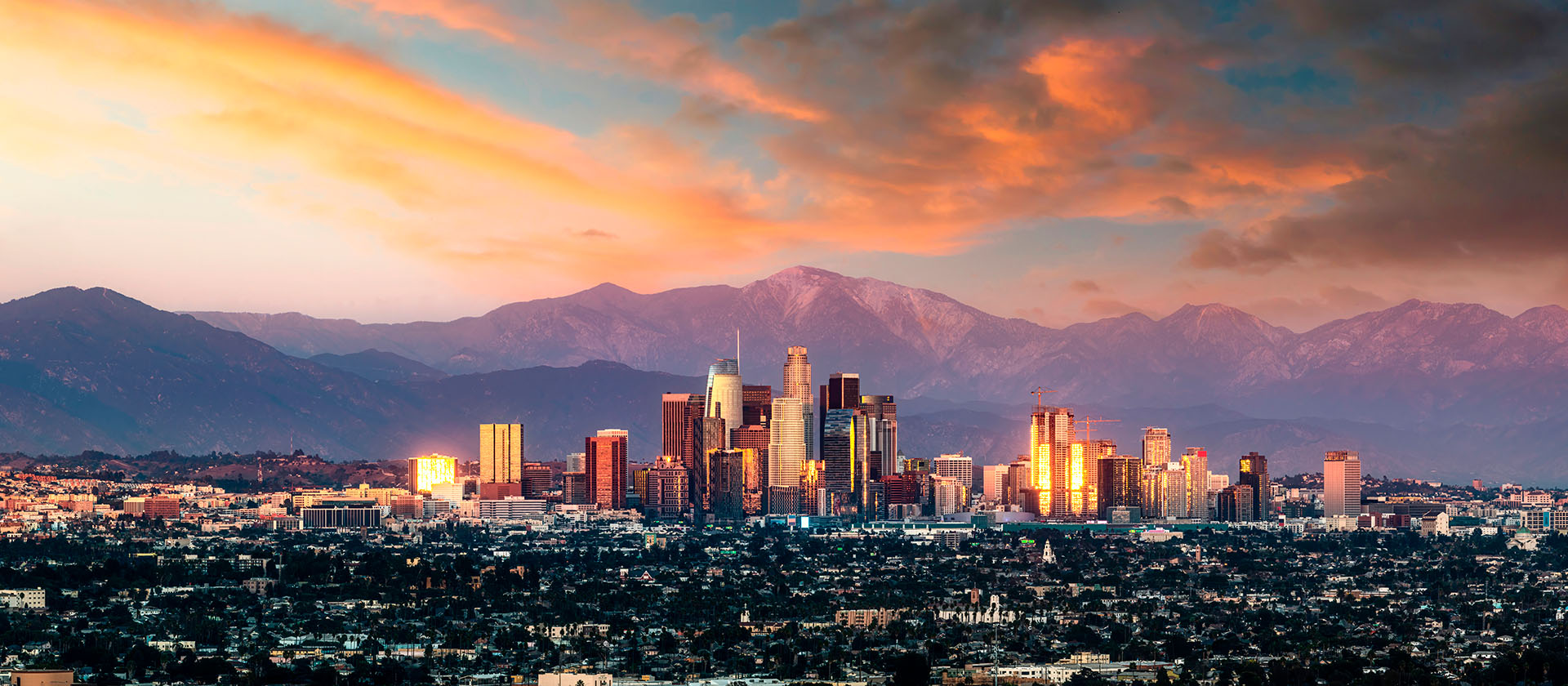 los angeles 2028: Últimas Notícias