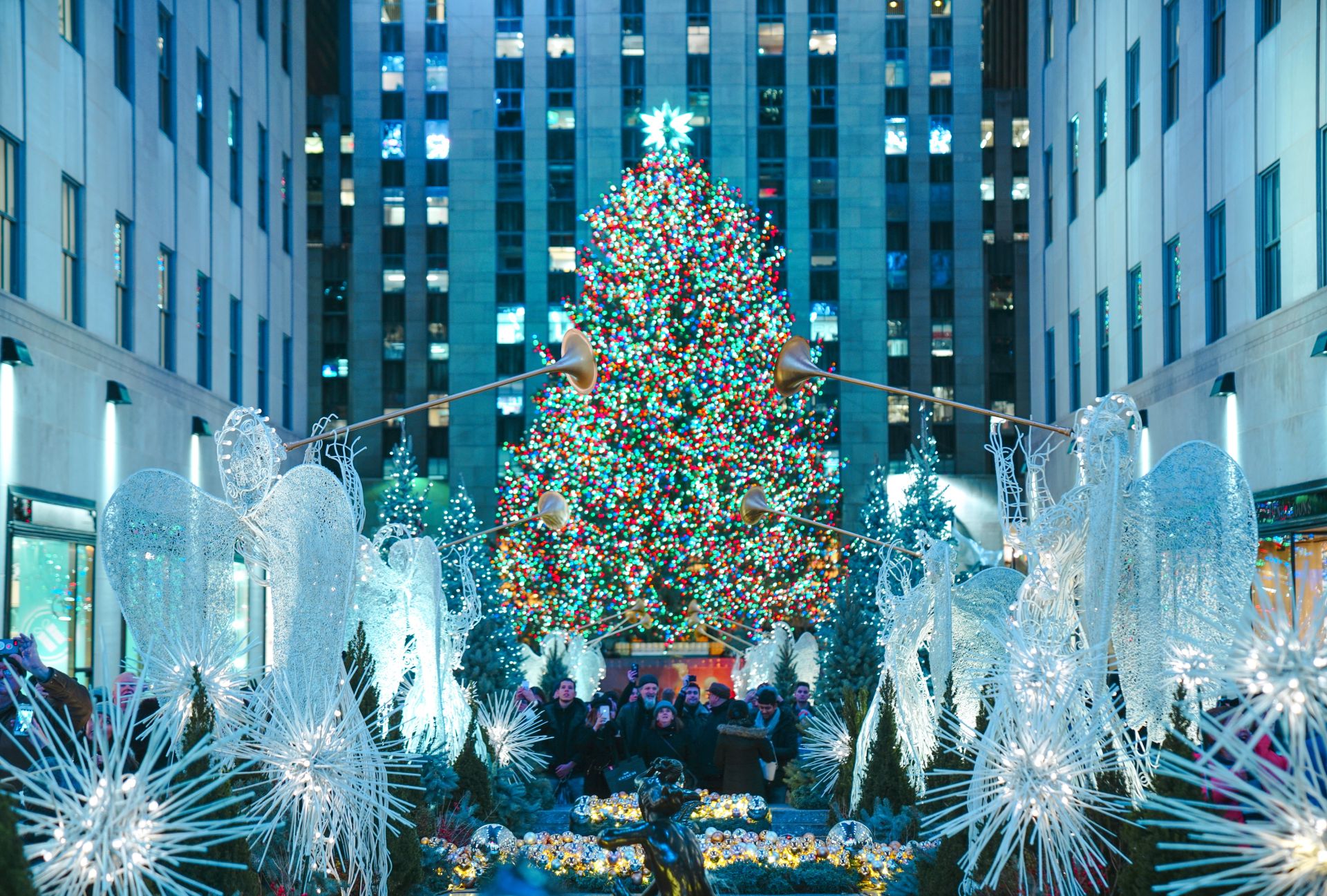 10 fascinating facts about NYC's 2023 Rockefeller Center Christmas tree